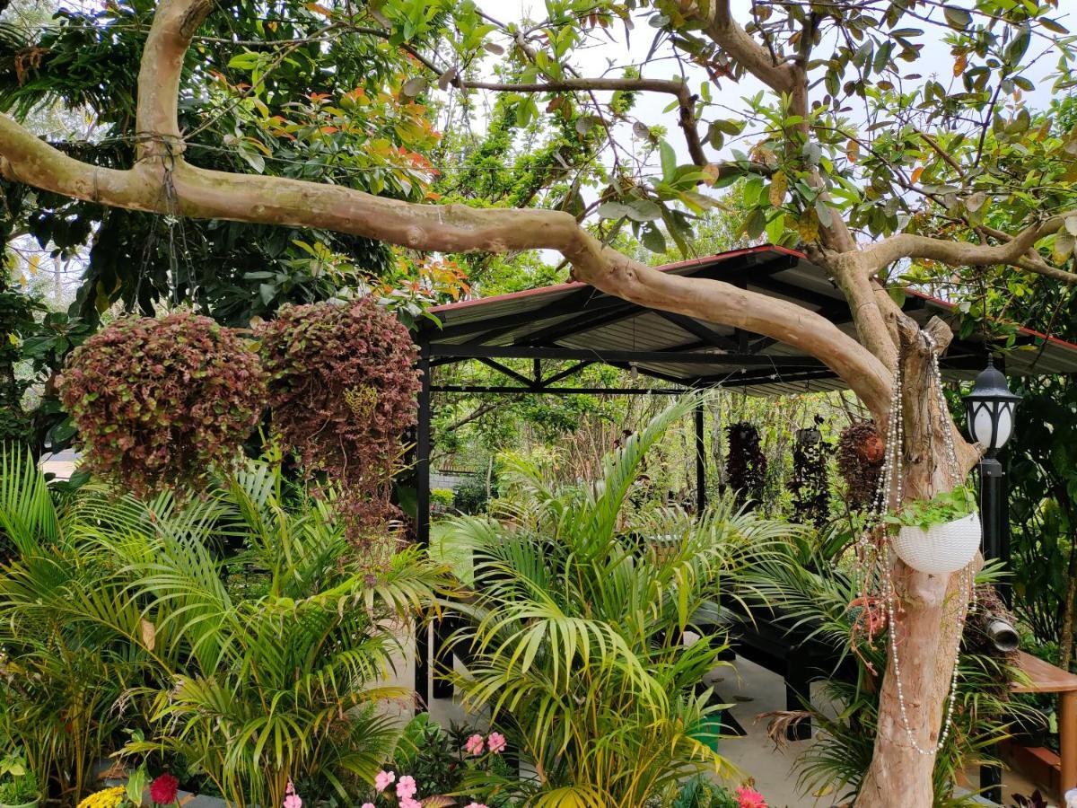 Silver Spruce Entire Nature Villa Kotagiri Eksteriør billede