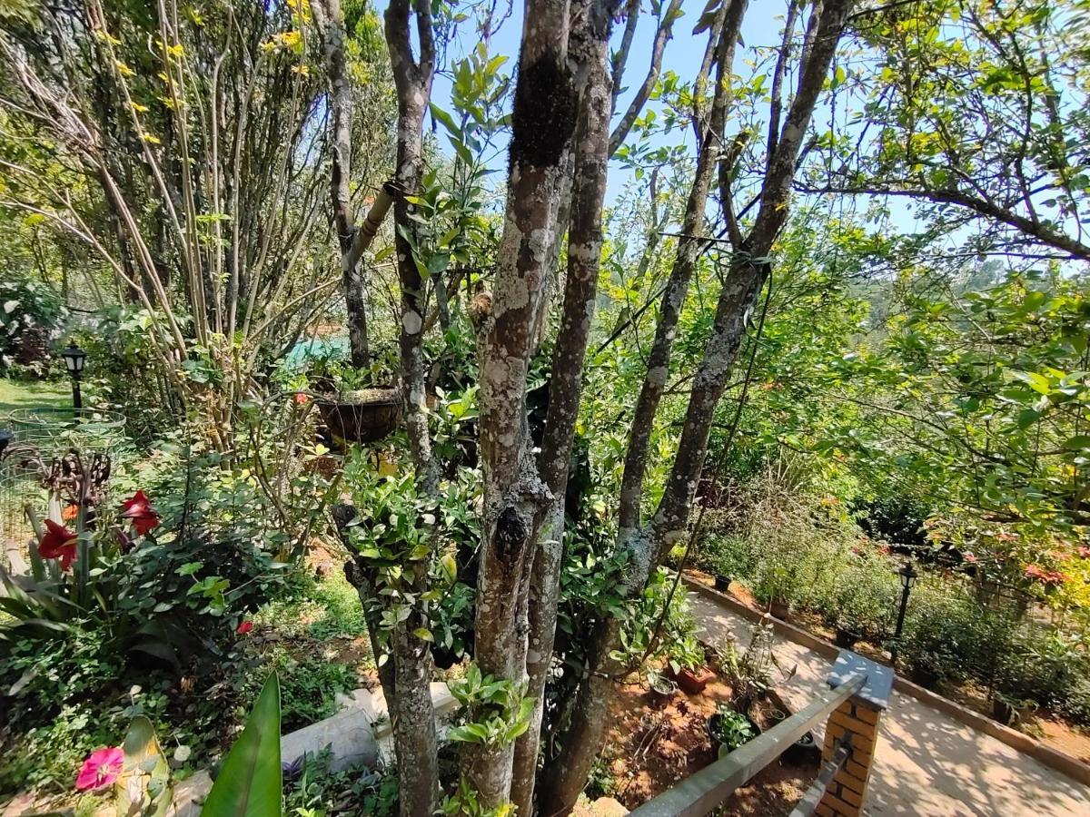 Silver Spruce Entire Nature Villa Kotagiri Eksteriør billede
